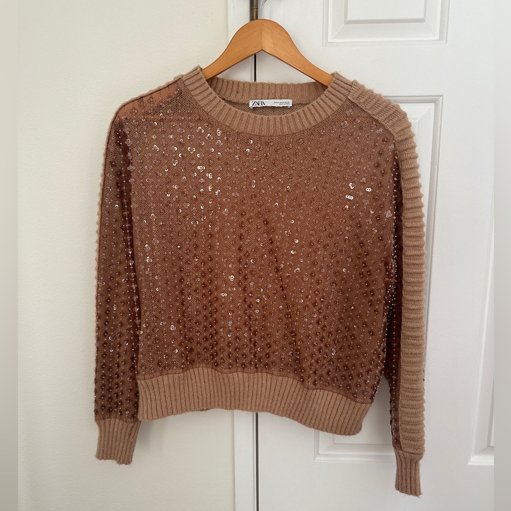 ZARA Rare Embellished Sweater